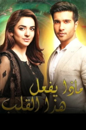 Dil Kiya Karay