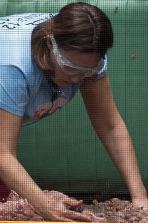 The Battle For 10 Downing Creek