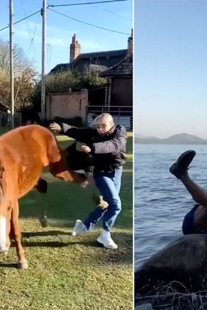 Fails: The Funnier the Fall