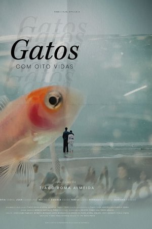 Gatos Com Oito Vidas