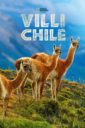Villi Chile