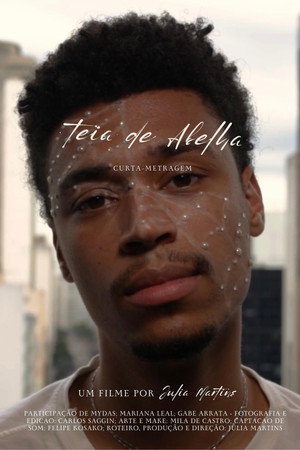 Teia de Abelha
