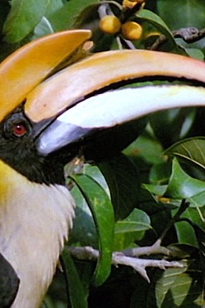 32. epizoda