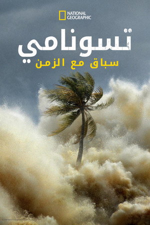 تسونامي: سباق مع الزمن