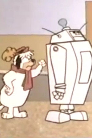 Mr. Robots