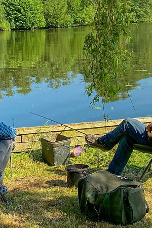 Rudd: Norfolk Broads