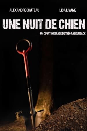 Une nuit de chien