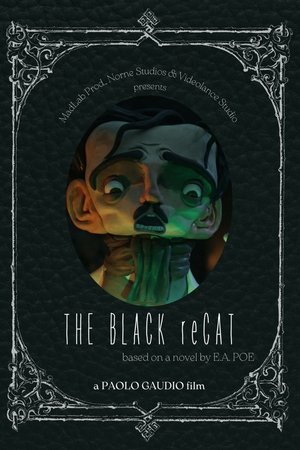 The Black reCat