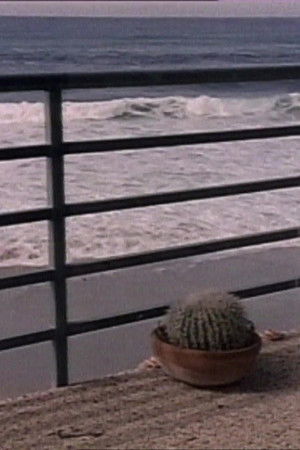 Dvakrát měř, jednou věř