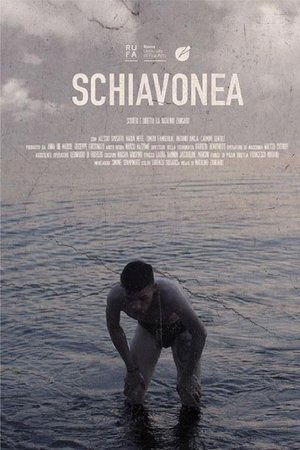 Schiavonea