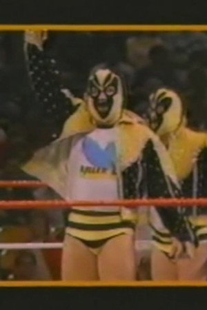 December 20, 1986 - Superstars of Wrestling #16
