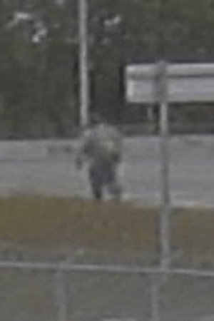 Alaska Serial Killer