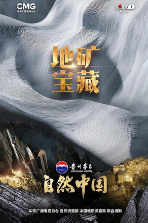 地矿宝藏