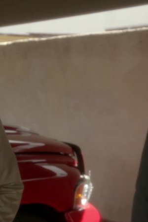 Alibi
