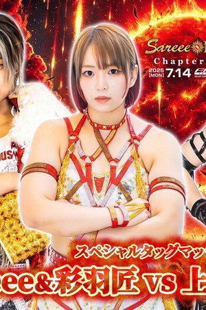 Sareee-ISM Chapter VIII