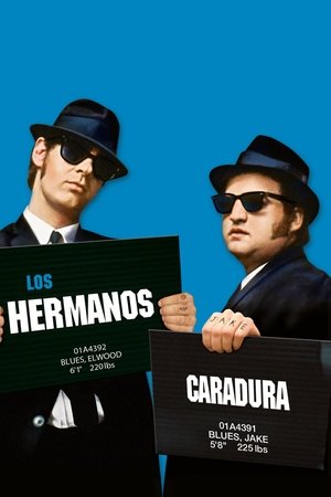 Los Hermanos Caradura 2000