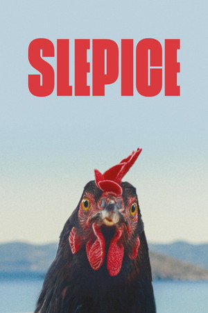 Slepice
