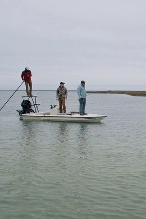 epizoda