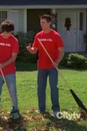 Králíčková terapie