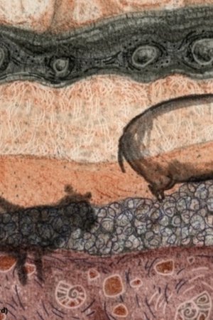 epizoda