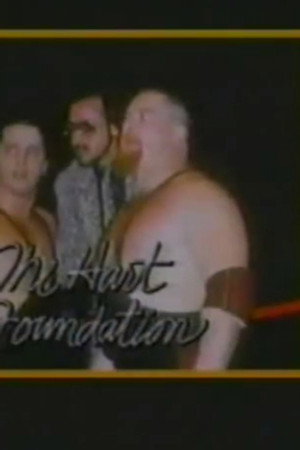 February 7, 1987 - Superstars of Wrestling #23