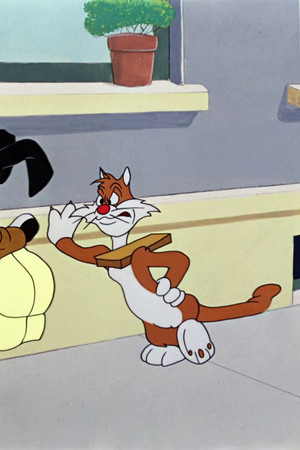Dog Gone Cats