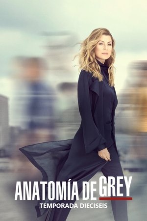 Temporada 16