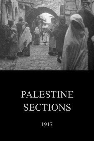 Palestine Sections