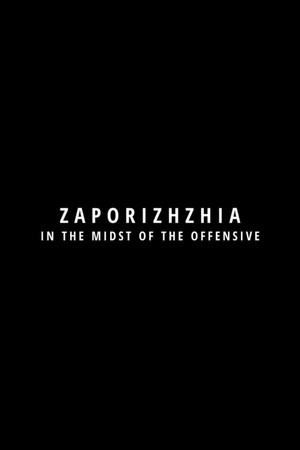 Zaporoże. W środku ofensywy