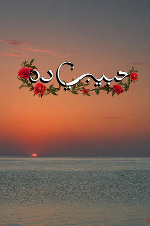 Habeeby Da