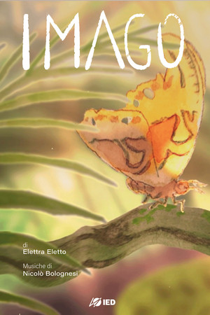 Imago