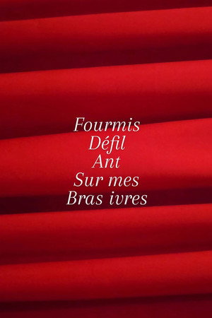 Fourmis défilant sur mes bras ivres.