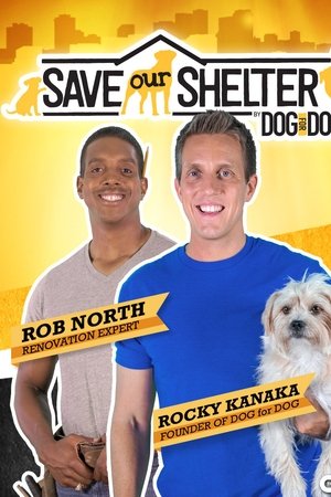 Save Our Shelter