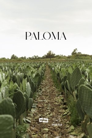 Paloma