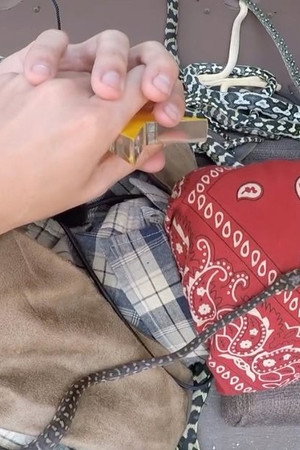 Ol' Dingo Town: Snake Hotel