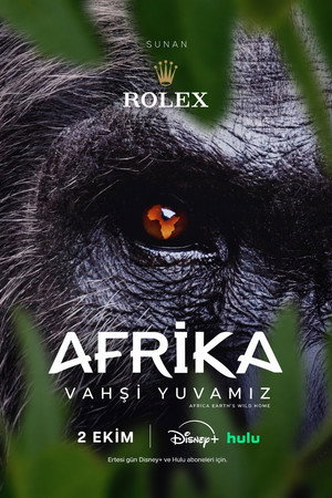 Afrika: Vahşi Yuvamız