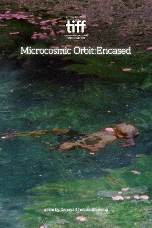 Microcosmic Orbit: Encased