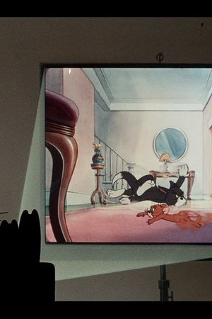 Shutter-Bugged Cat