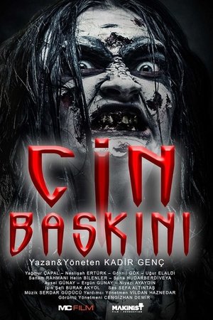 Cin Baskini