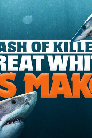 Clash of Killers: Great White vs. Mako