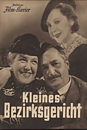 Kleines Bezirksgericht