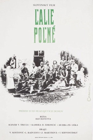 Ľalie poľné
