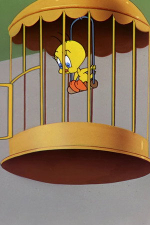 A Bird in a Guilty Cage