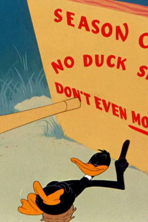 My Favorite Duck