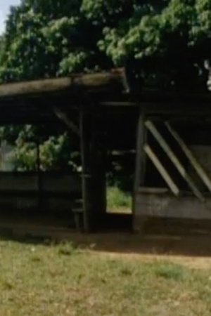 4. epizoda