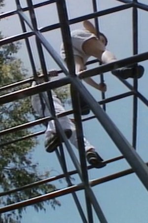 Recess: Incidents in the Playground