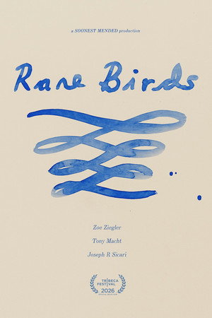 Rare Birds