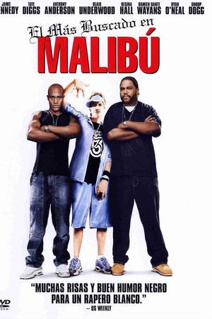 Imagen de El más buscado en Malibú