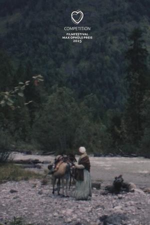 Gold Rush