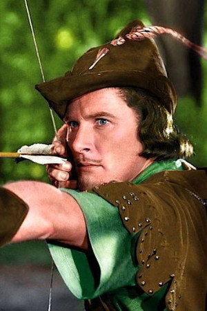 Robin de los bosques